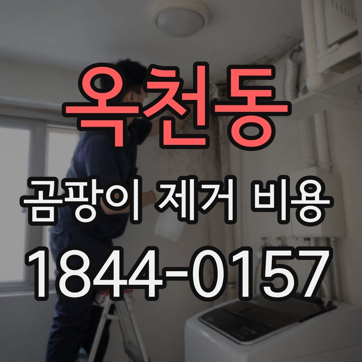 옥천동 곰팡이 제거 비용 견적을 받을 때 체크할 사항