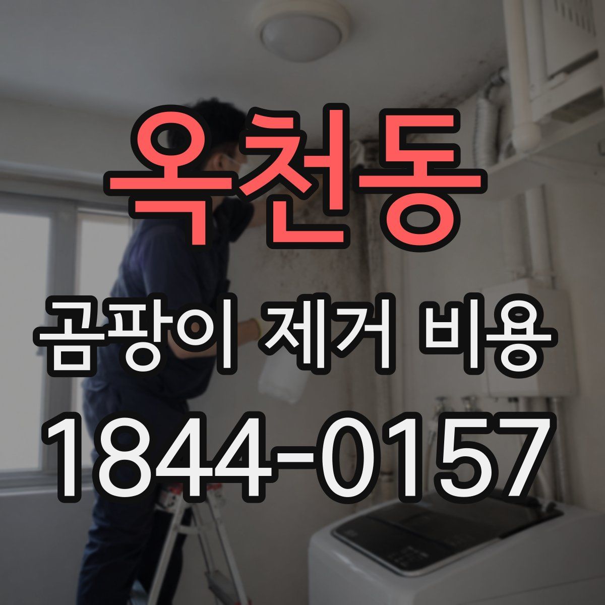 옥천동 곰팡이 제거 비용