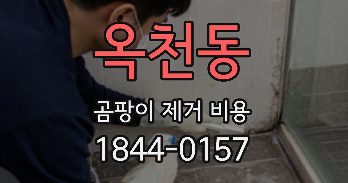 옥천동 곰팡이 제거 비용