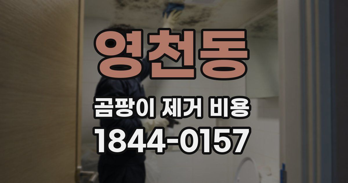 영천동 곰팡이 제거 비용