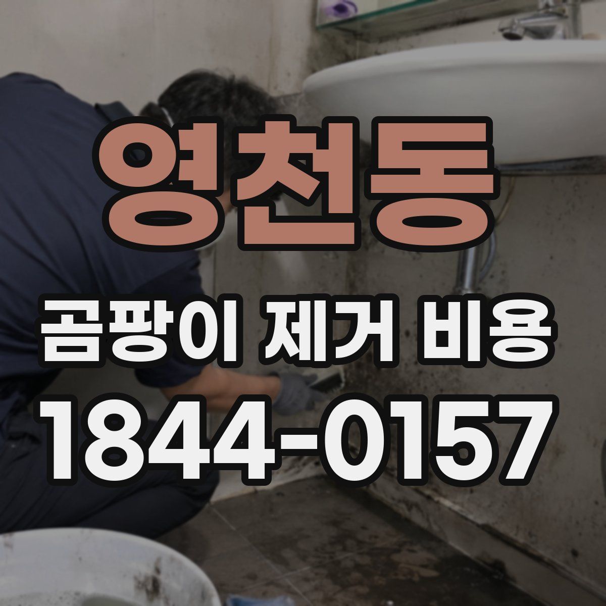 영천동 곰팡이 제거 비용