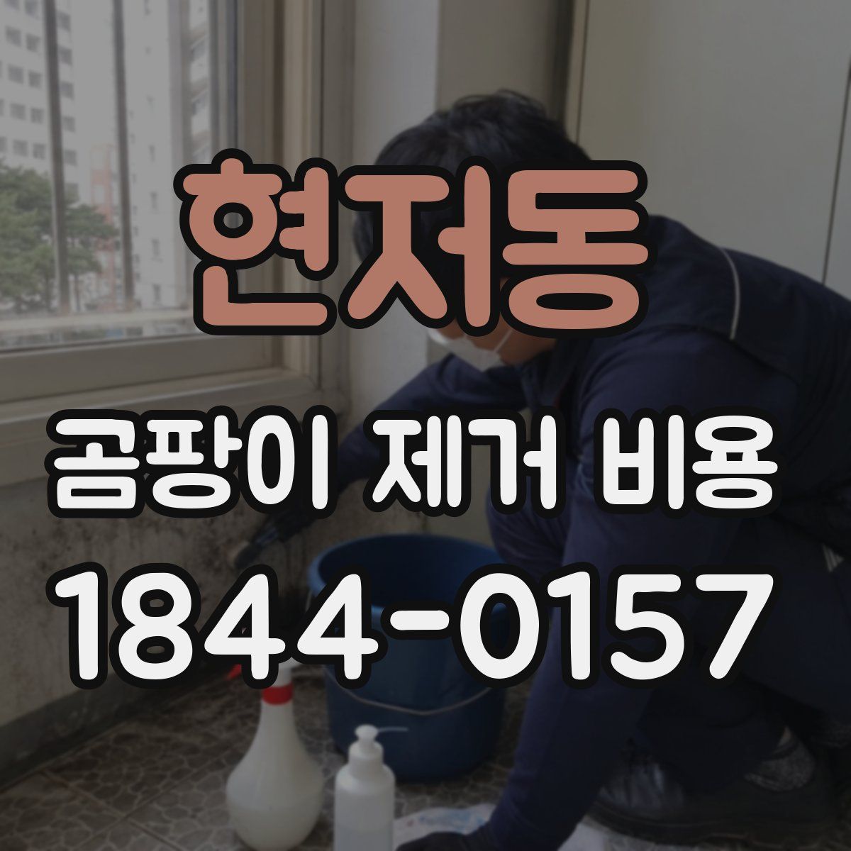 현저동 곰팡이 제거 비용
