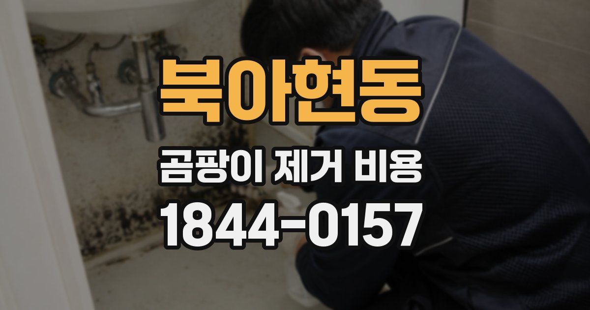 북아현동 곰팡이 제거 비용