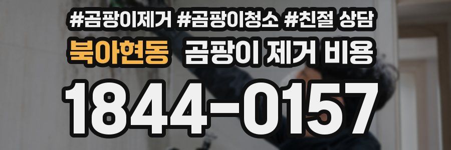 북아현동 곰팡이 제거 비용