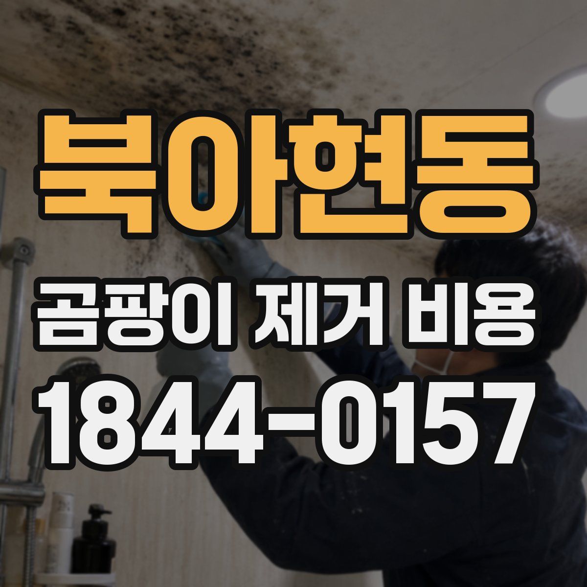 북아현동 곰팡이 제거 비용
