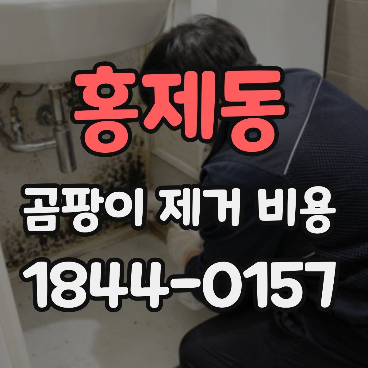 홍제동 곰팡이 제거 비용
