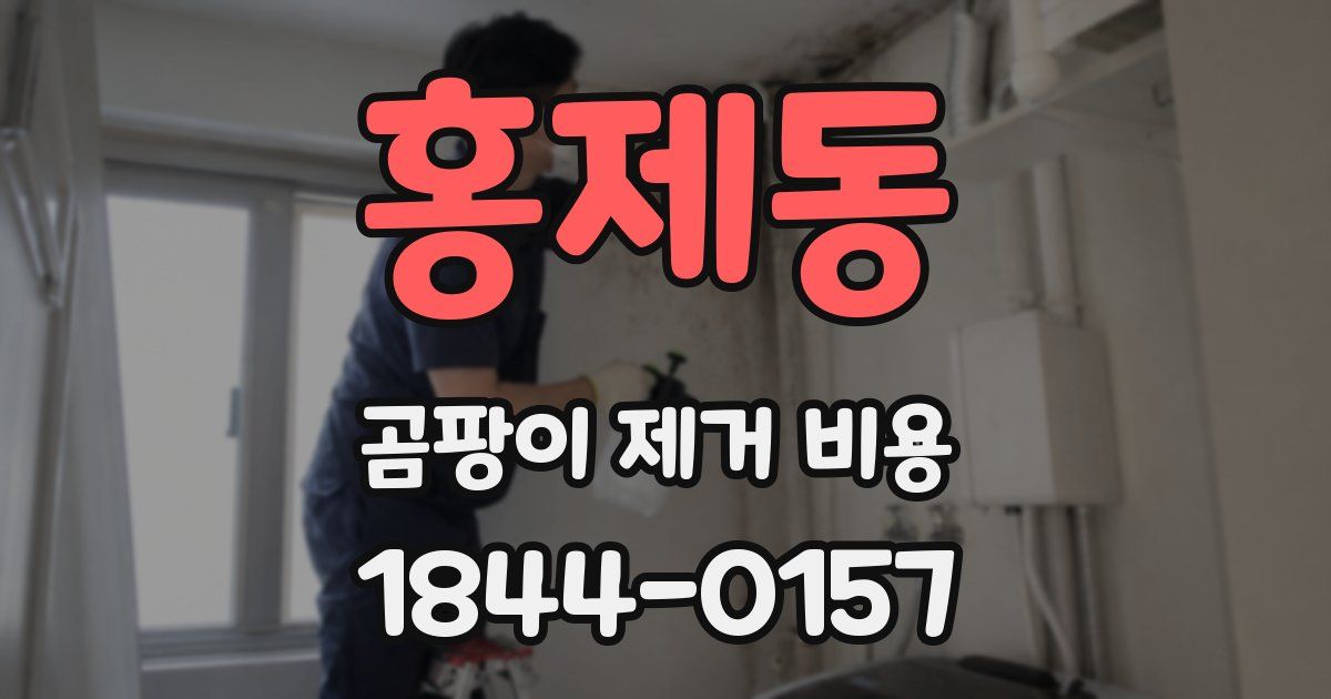홍제동 곰팡이 제거 비용