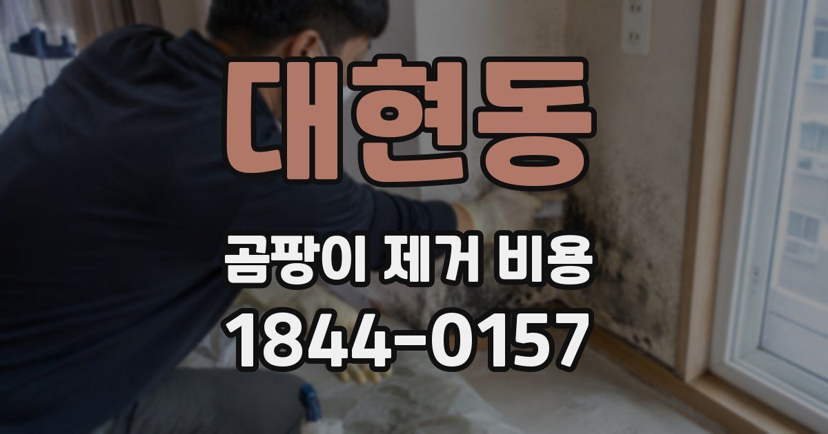 대현동 곰팡이 제거 비용