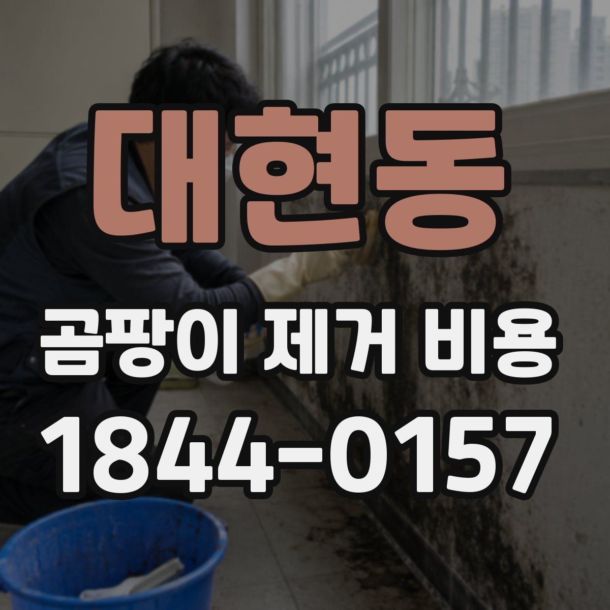 대현동 곰팡이 제거 비용