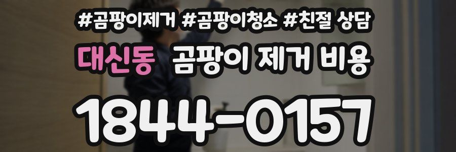 대신동 곰팡이 제거 비용
