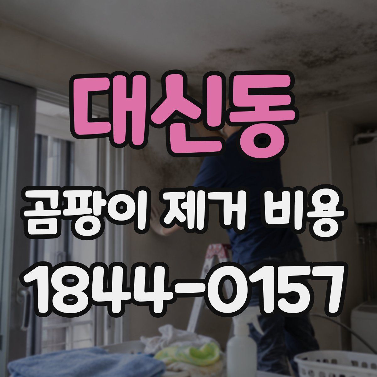 대신동 곰팡이 제거 비용