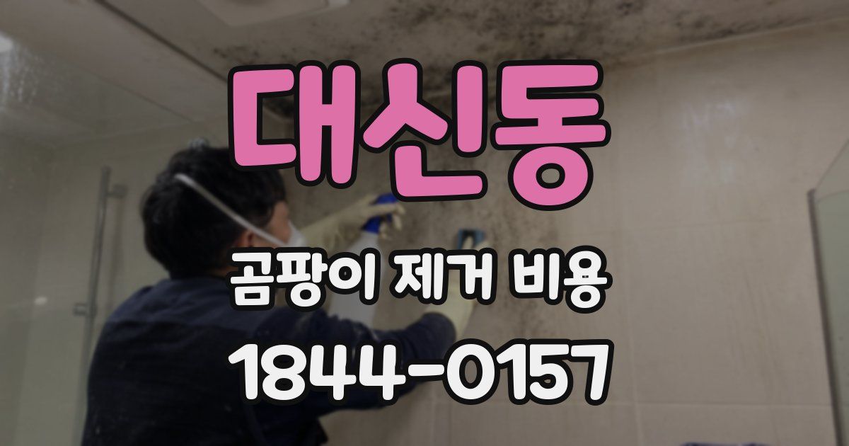 대신동 곰팡이 제거 비용