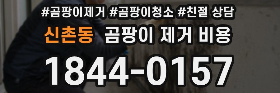 신촌동 곰팡이 제거 비용