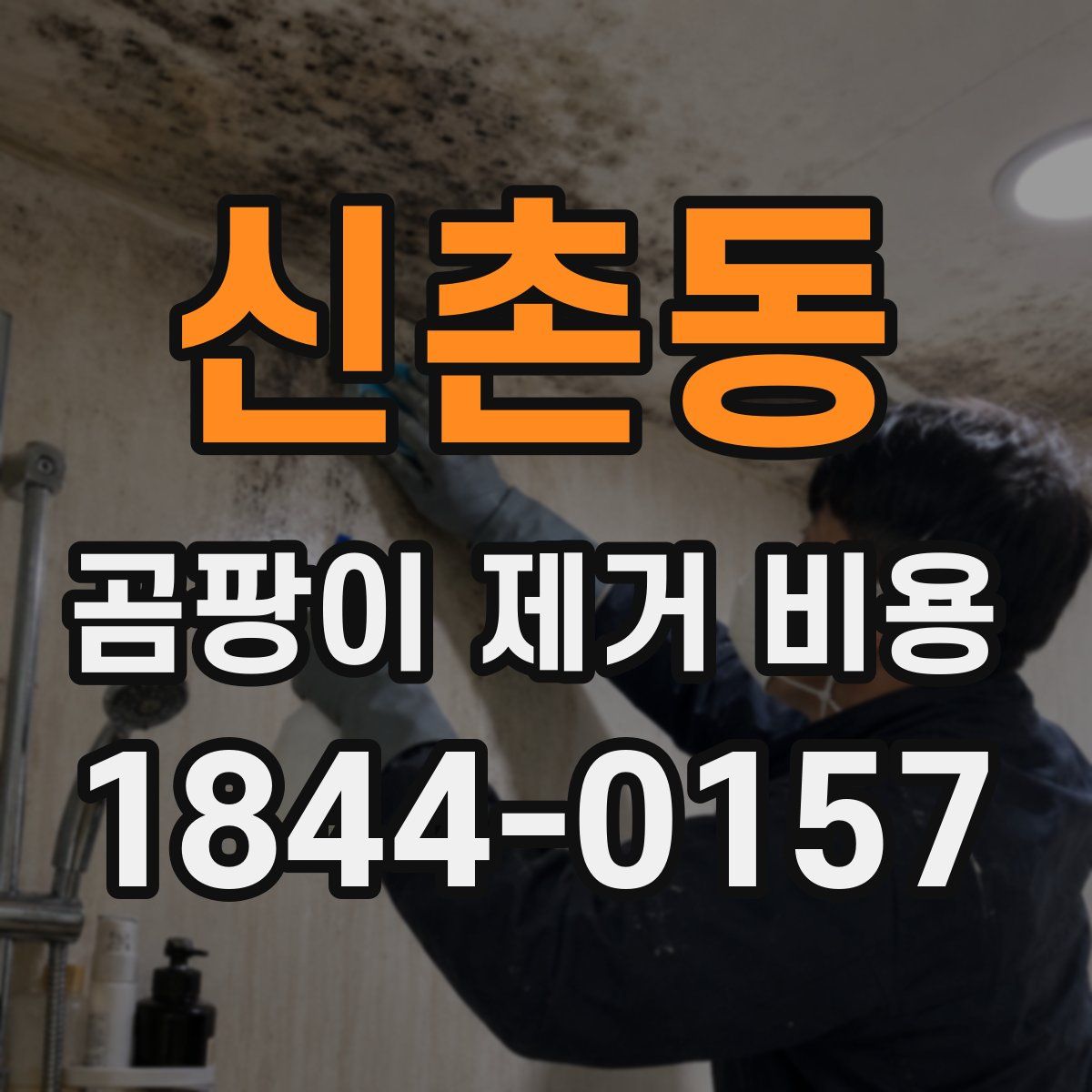 신촌동 곰팡이 제거 비용