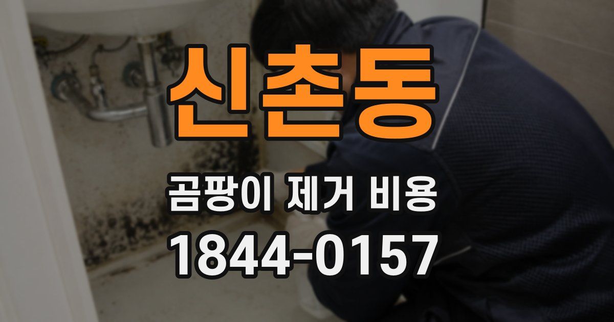 신촌동 곰팡이 제거 비용