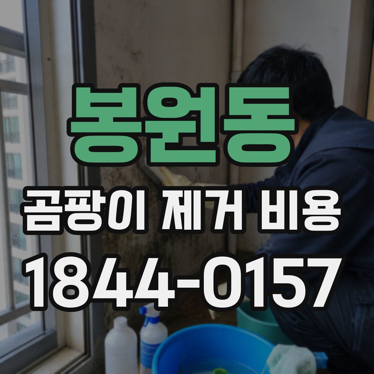 봉원동 곰팡이 제거 비용