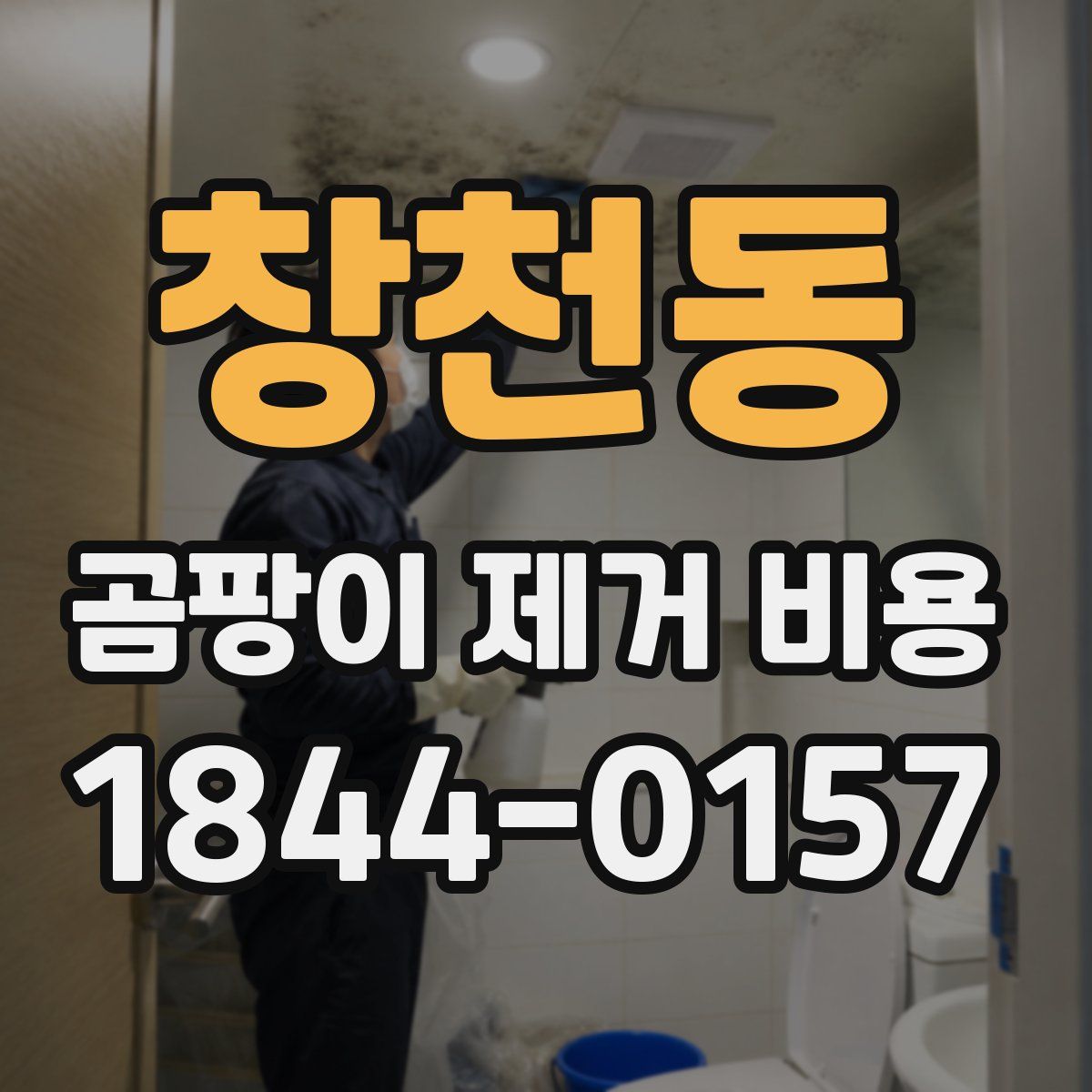 창천동 곰팡이 제거 비용