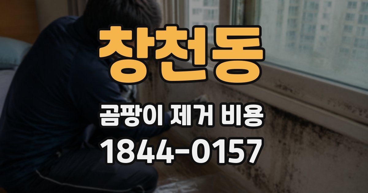 창천동 곰팡이 제거 비용