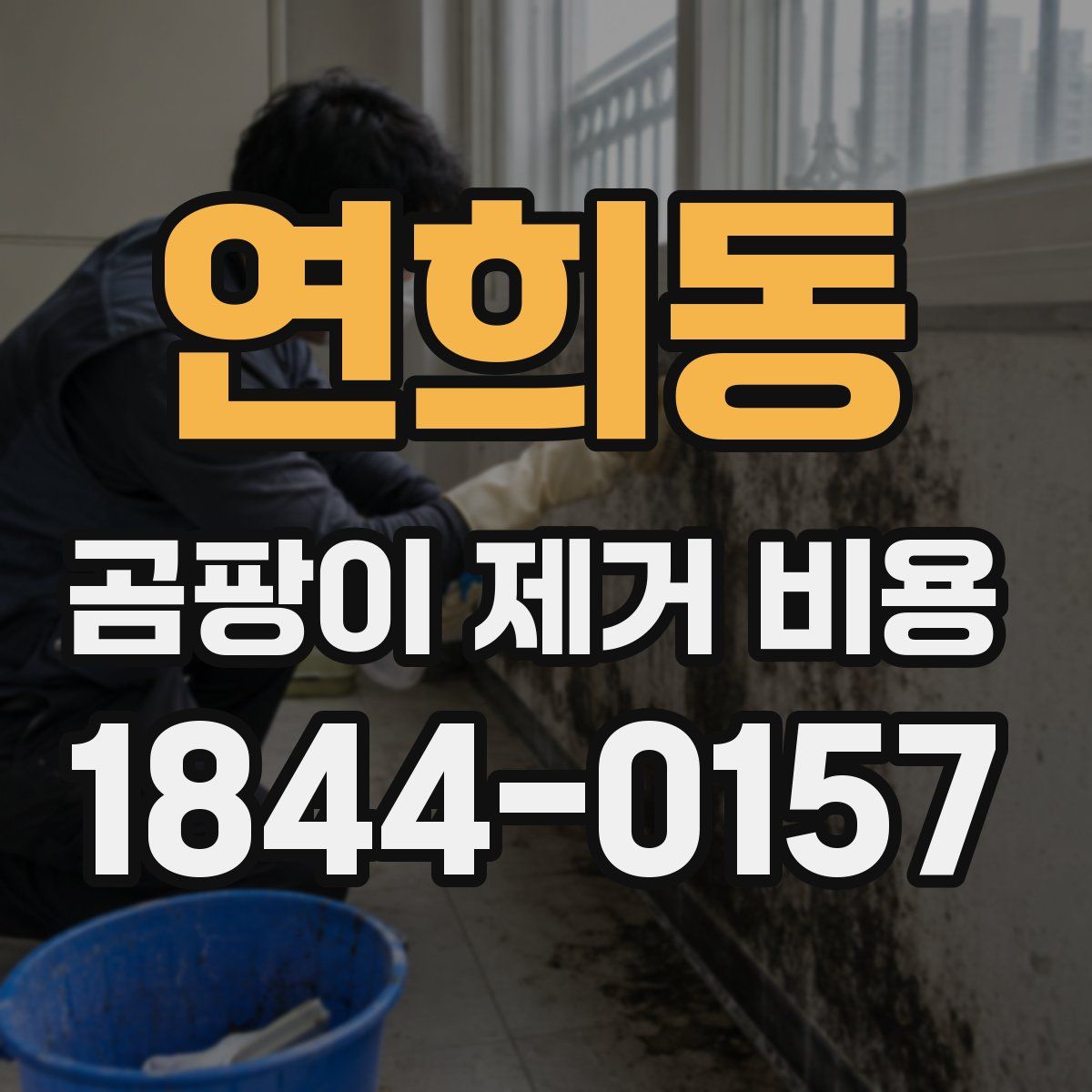 연희동 곰팡이 제거 비용