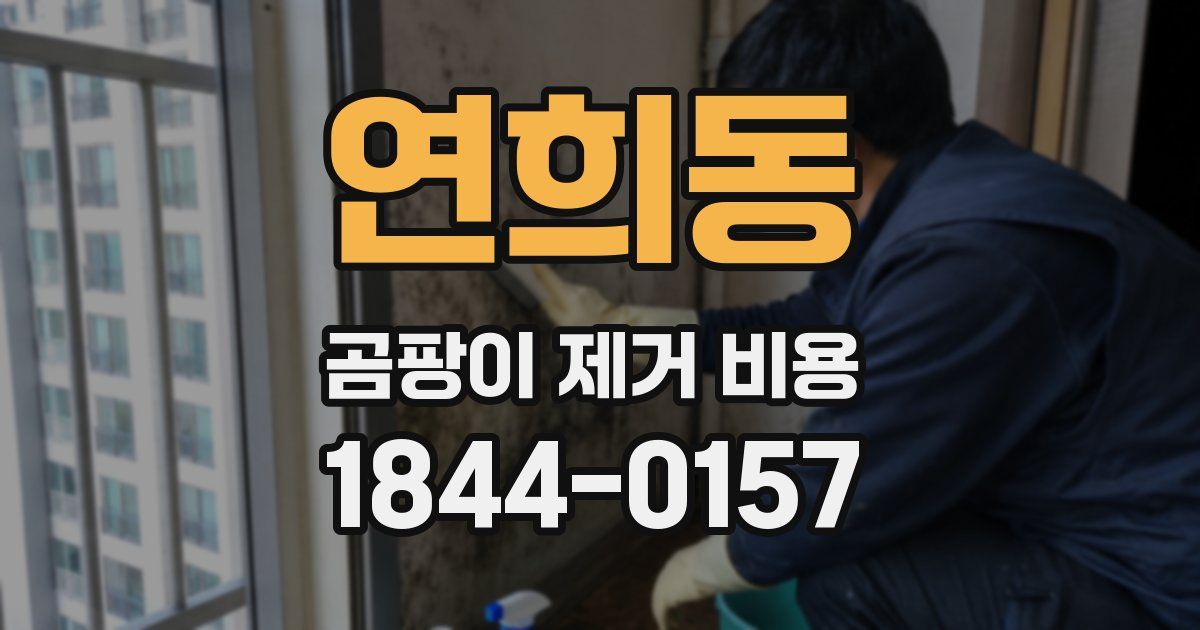 연희동 곰팡이 제거 비용