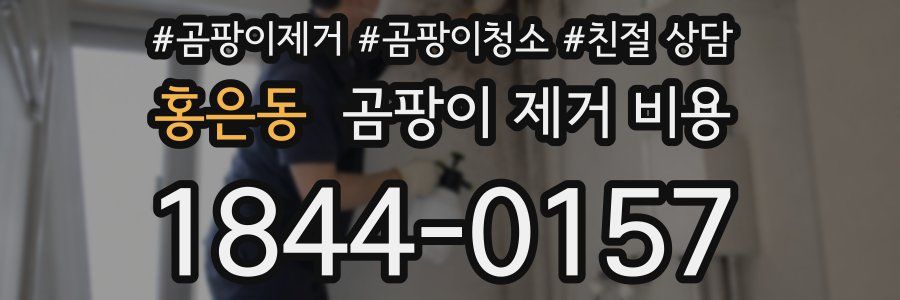 홍은동 곰팡이 제거 비용