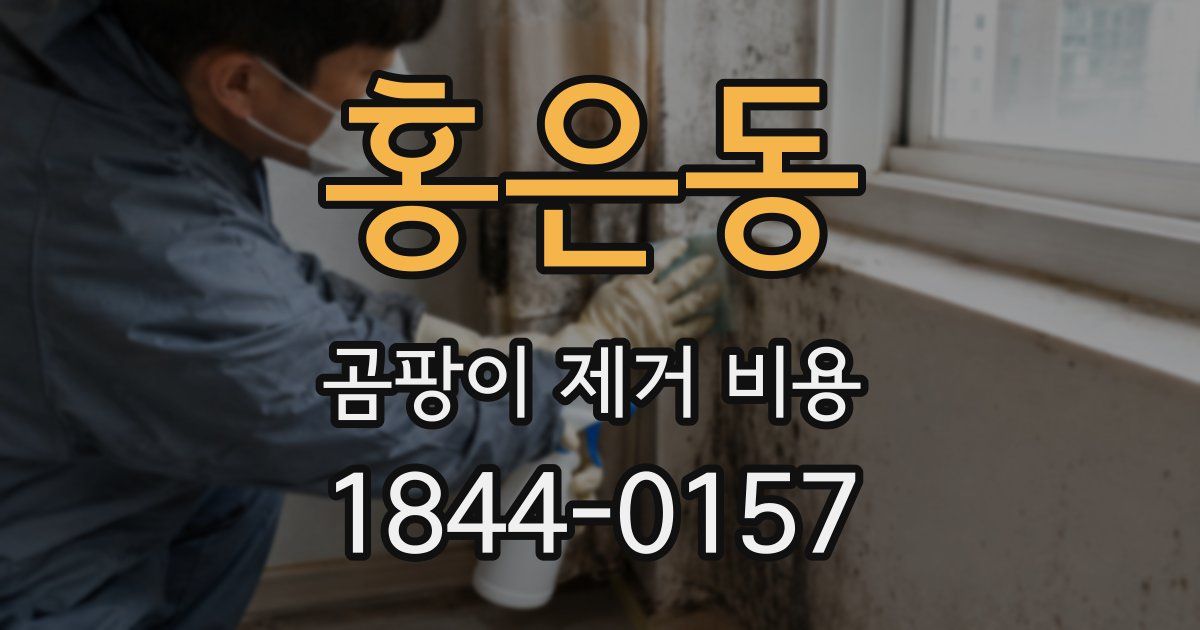 홍은동 곰팡이 제거 비용