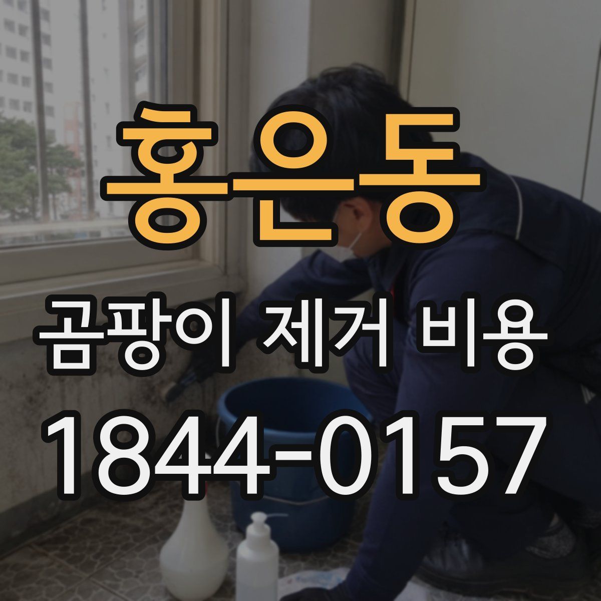 홍은동 곰팡이 제거 비용