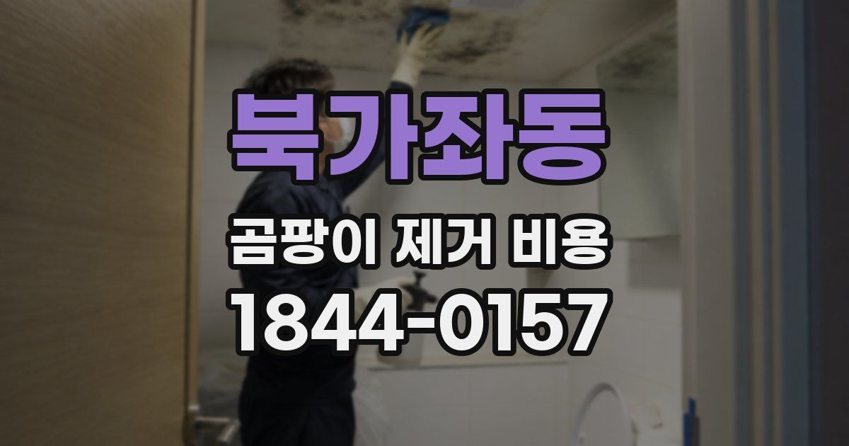 북가좌동 곰팡이 제거 비용