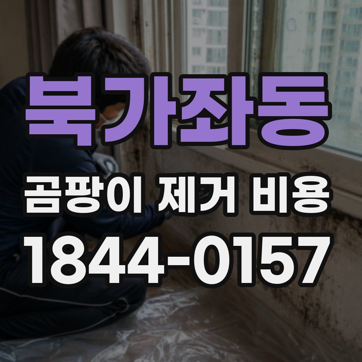 북가좌동 곰팡이 제거 비용