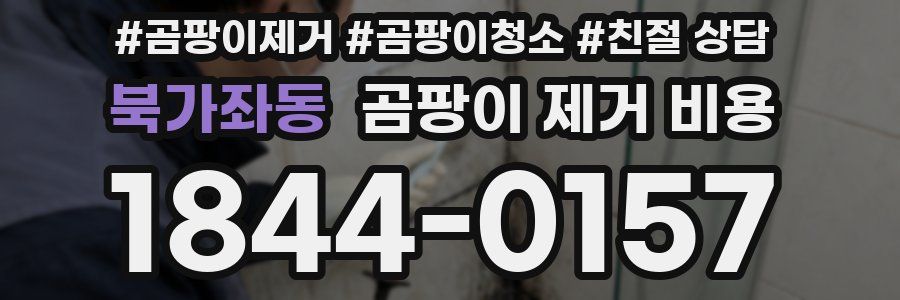 북가좌동 곰팡이 제거 비용