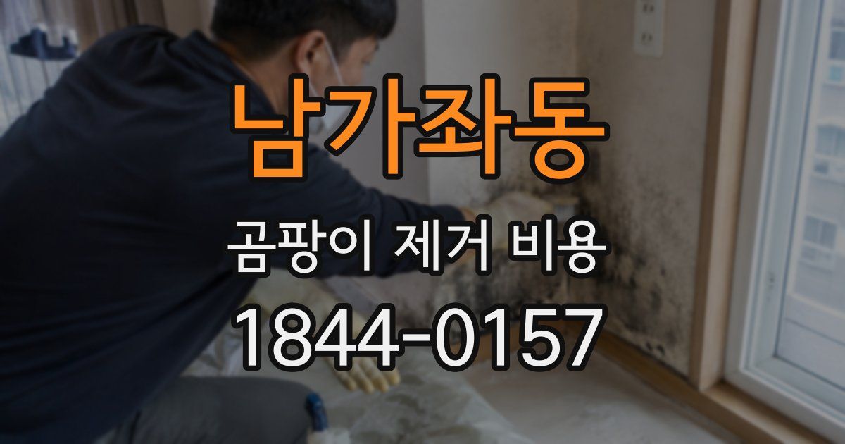 남가좌동 곰팡이 제거 비용