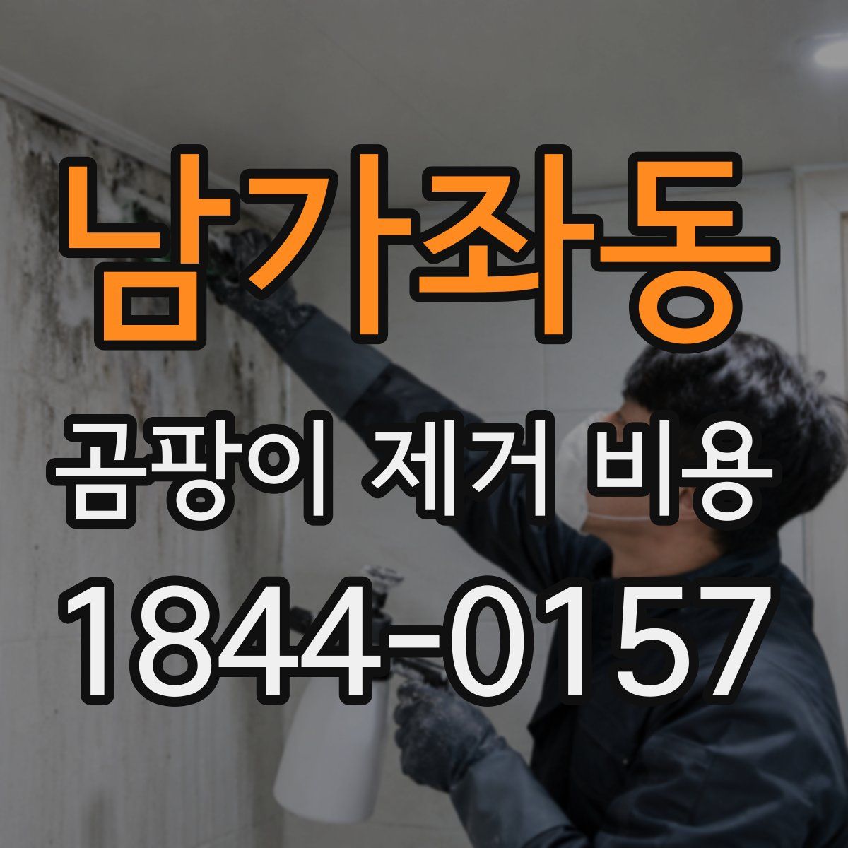 남가좌동 곰팡이 제거 비용
