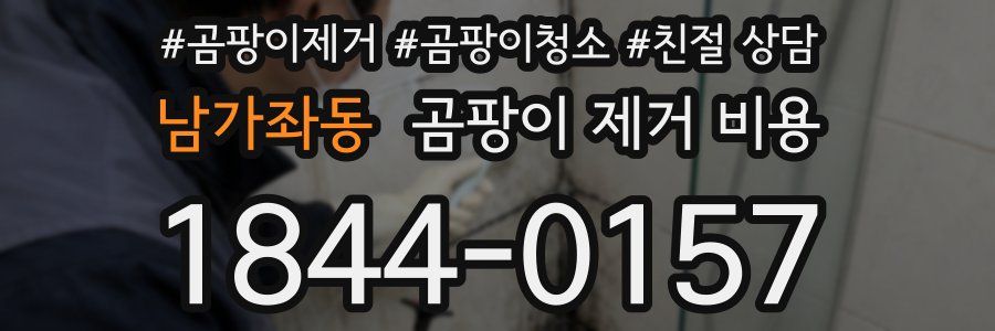 남가좌동 곰팡이 제거 비용