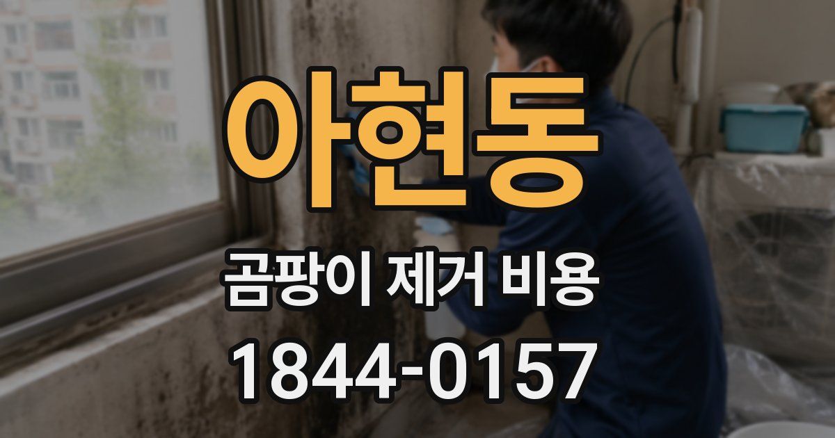 아현동 곰팡이 제거 비용