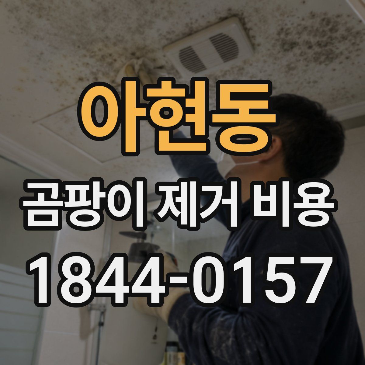 아현동 곰팡이 제거 비용