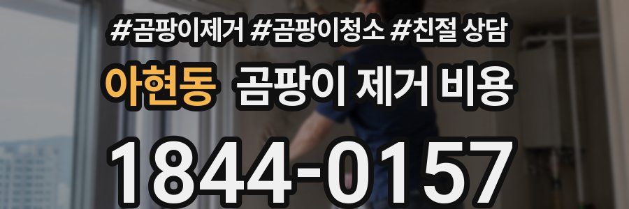 아현동 곰팡이 제거 비용