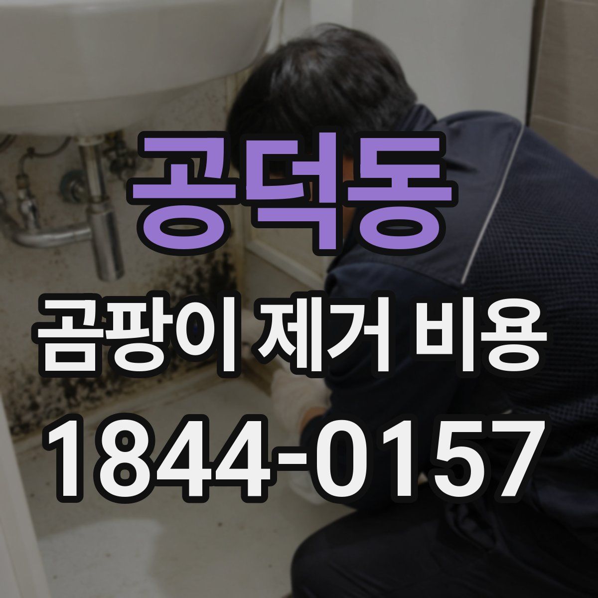 공덕동 곰팡이 제거 비용