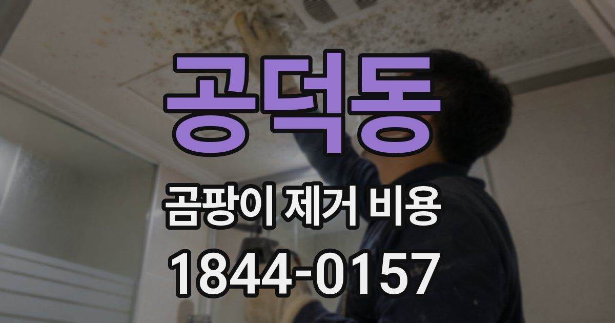 공덕동 곰팡이 제거 비용