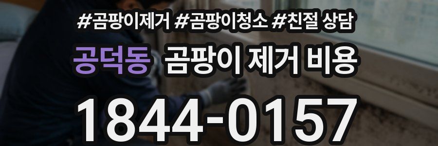공덕동 곰팡이 제거 비용