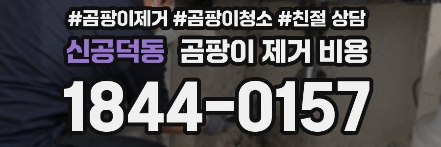 신공덕동 곰팡이 제거 비용