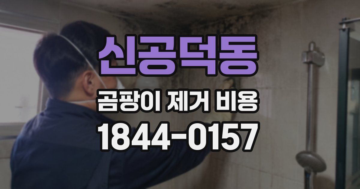 신공덕동 곰팡이 제거 비용