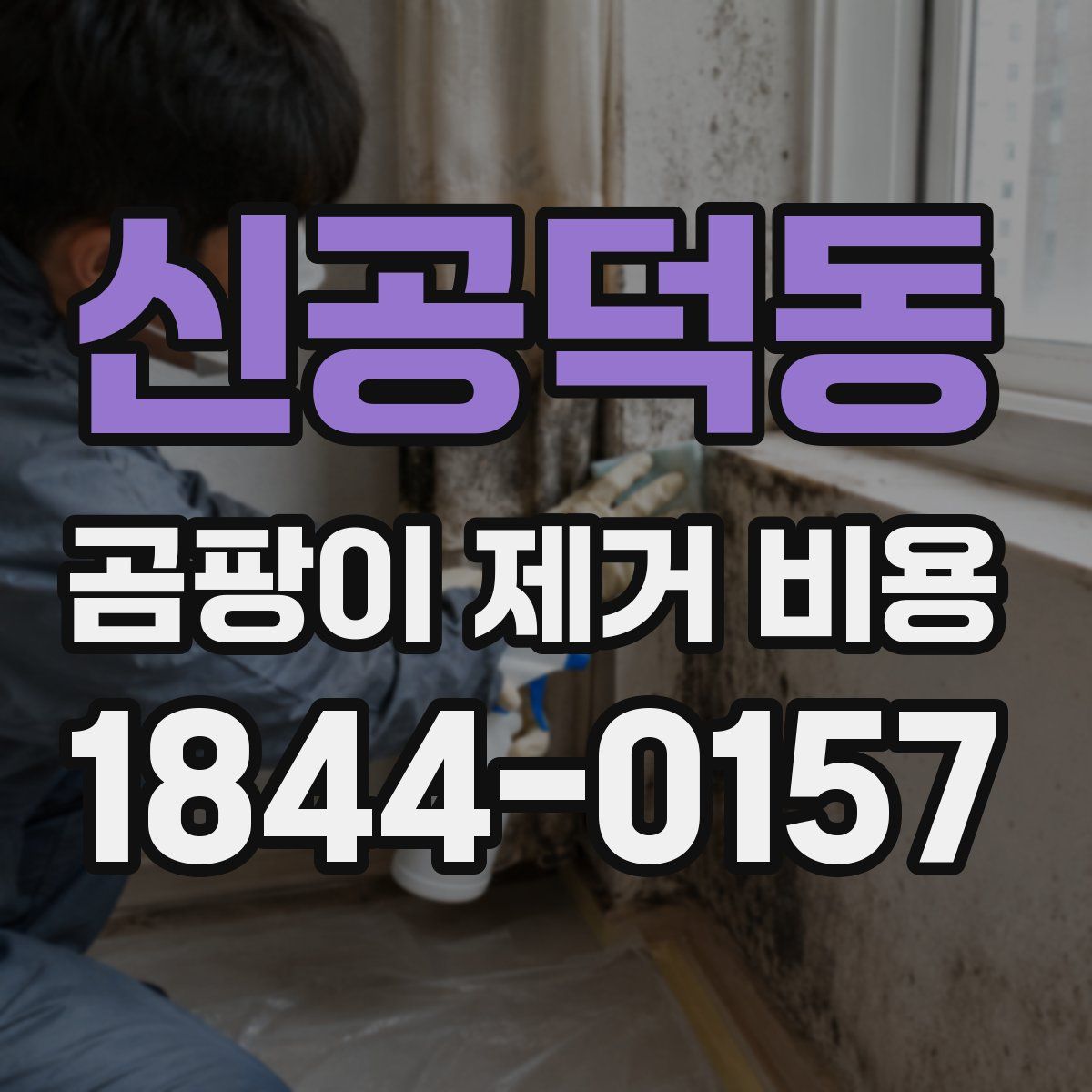 신공덕동 곰팡이 제거 비용
