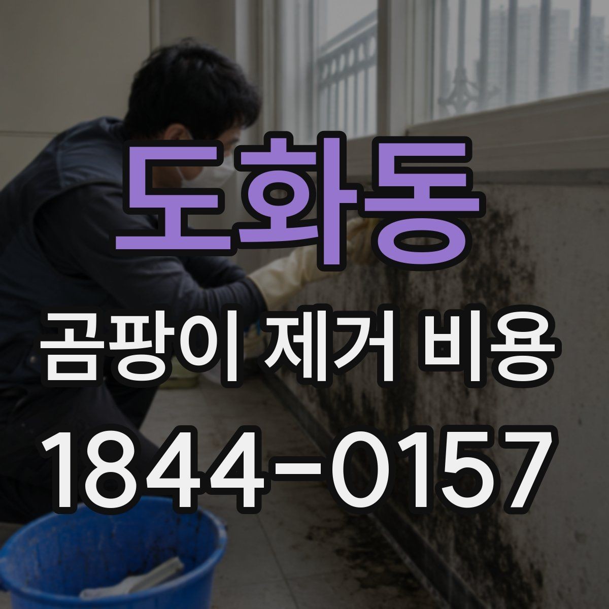도화동 곰팡이 제거 비용 상담 전 확인할 항목