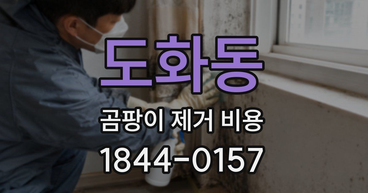 도화동 곰팡이 제거 비용