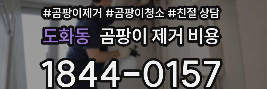 도화동 곰팡이 제거 비용
