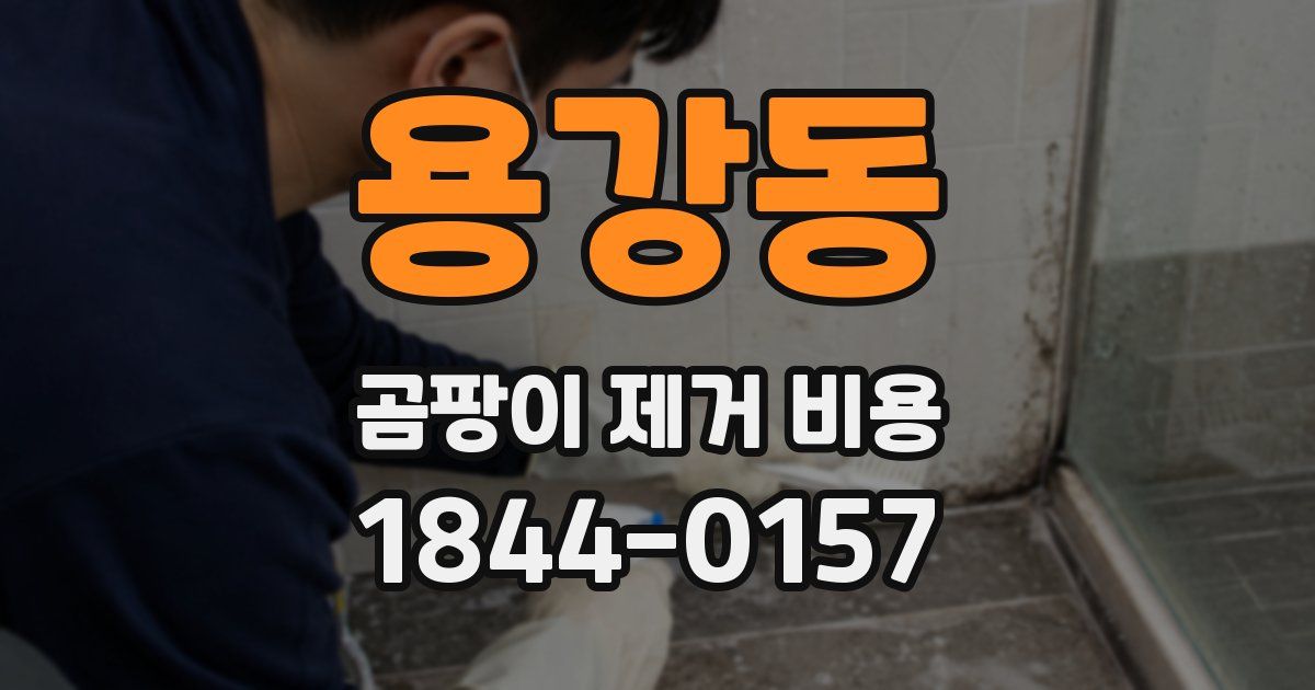 용강동 곰팡이 제거 비용