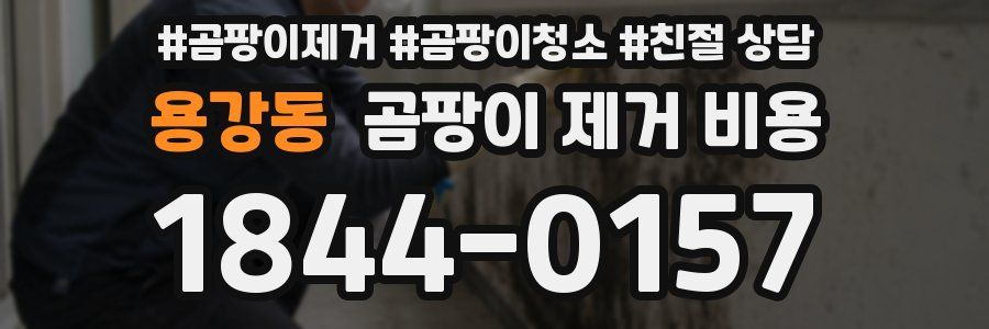 용강동 곰팡이 제거 비용