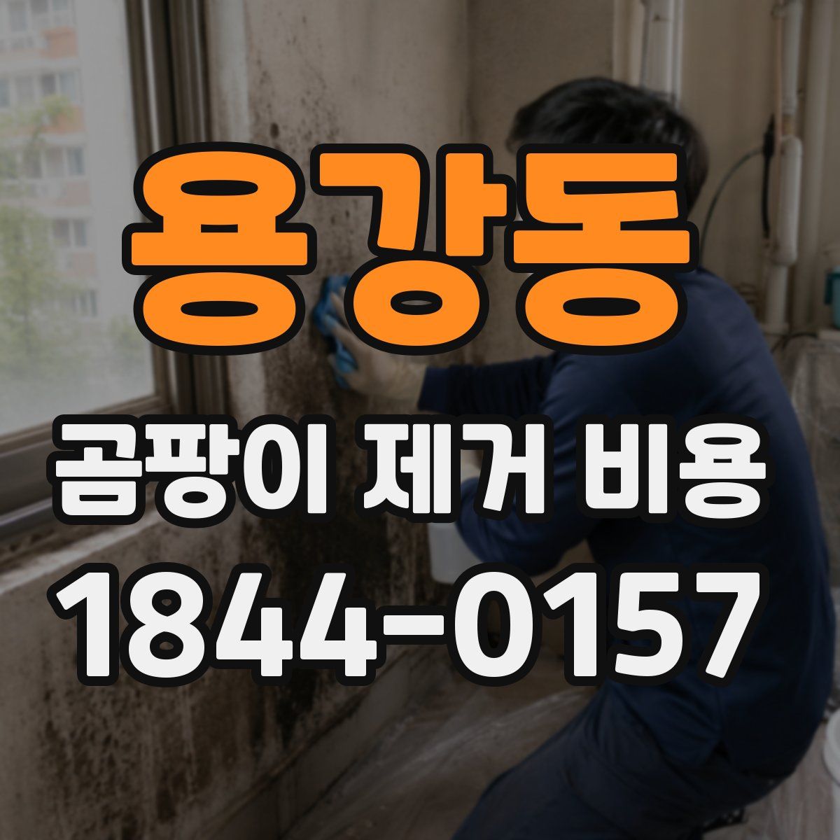 용강동 곰팡이 제거 비용