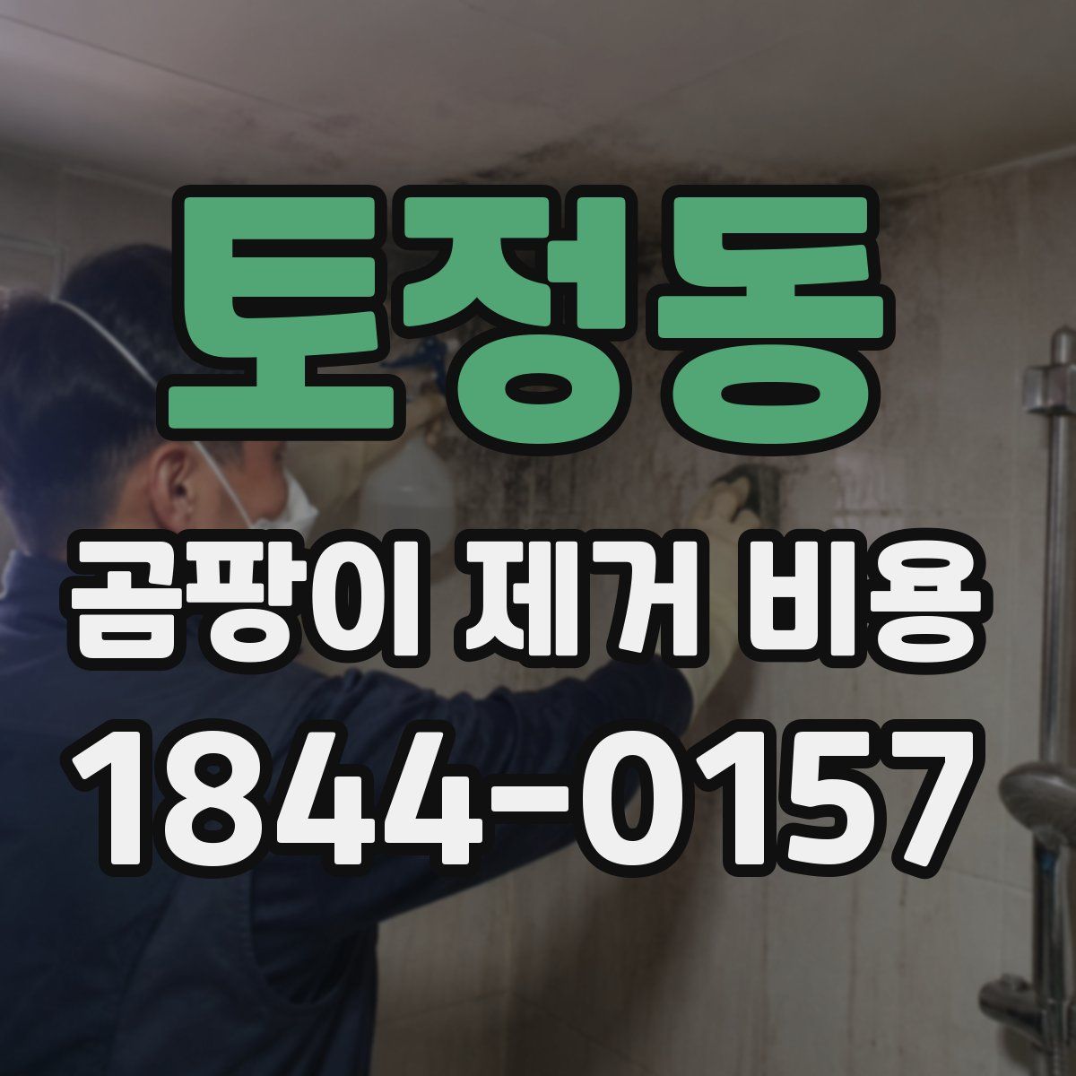 토정동 곰팡이 제거 비용