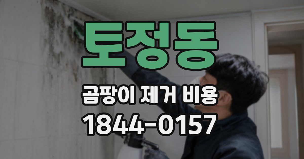 토정동 곰팡이 제거 비용